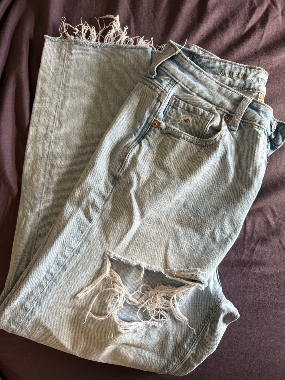 American Eagle Outfitters Light Blue Distressed Ankle Jeans